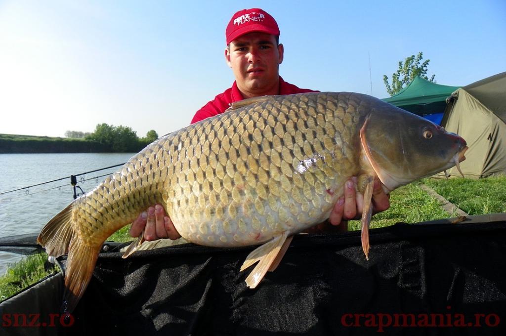 Party Cup ed.a-V-a  - 10102381.jpg